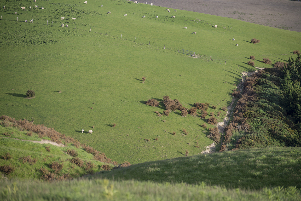 Countryside near Baclutha