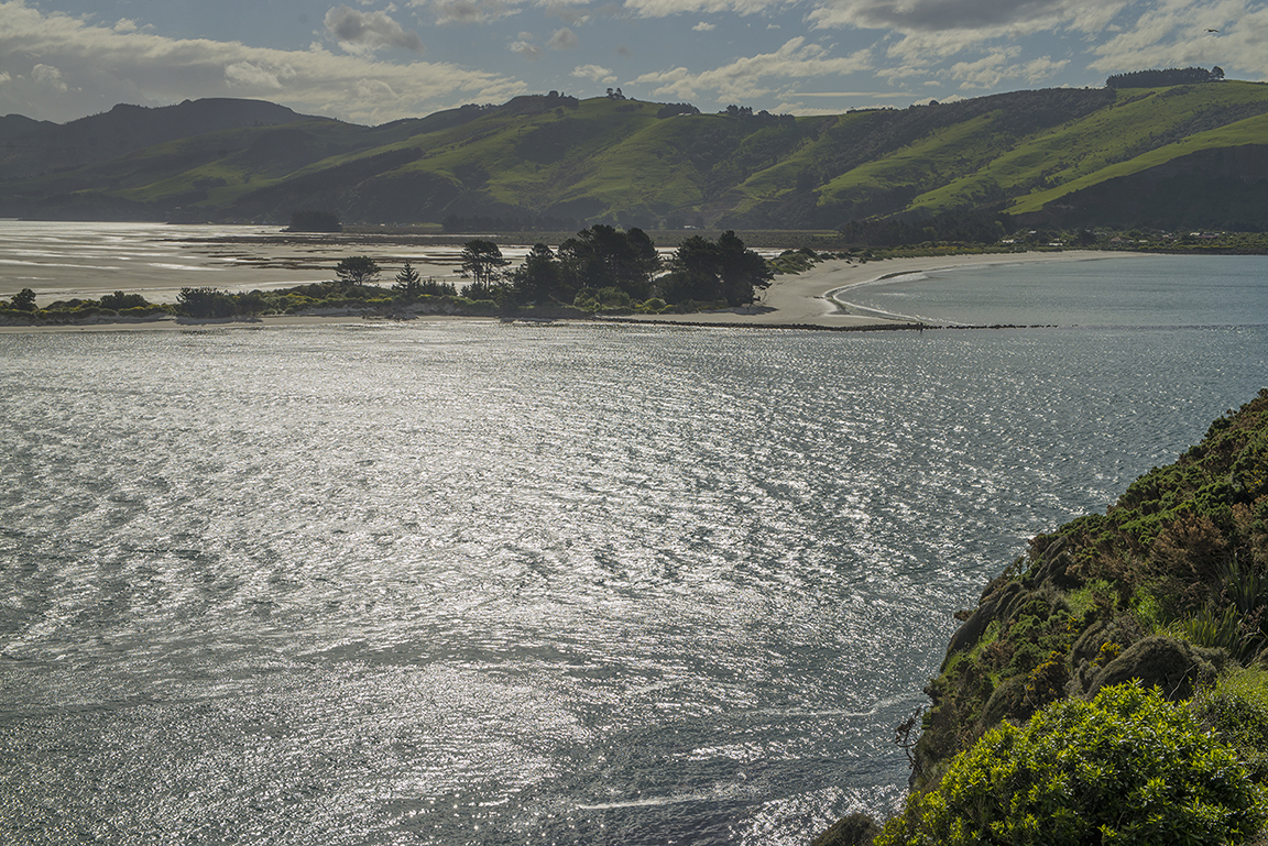 Otago Peninsula near Dunedin