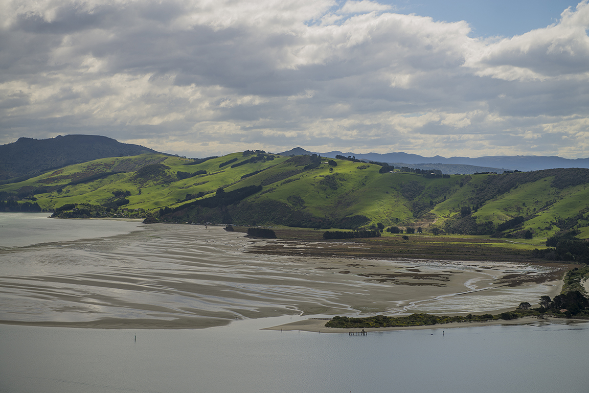 Otago Peninsula near Dunedin