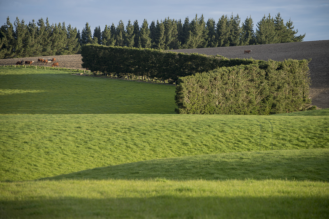 Countryside near Baclutha