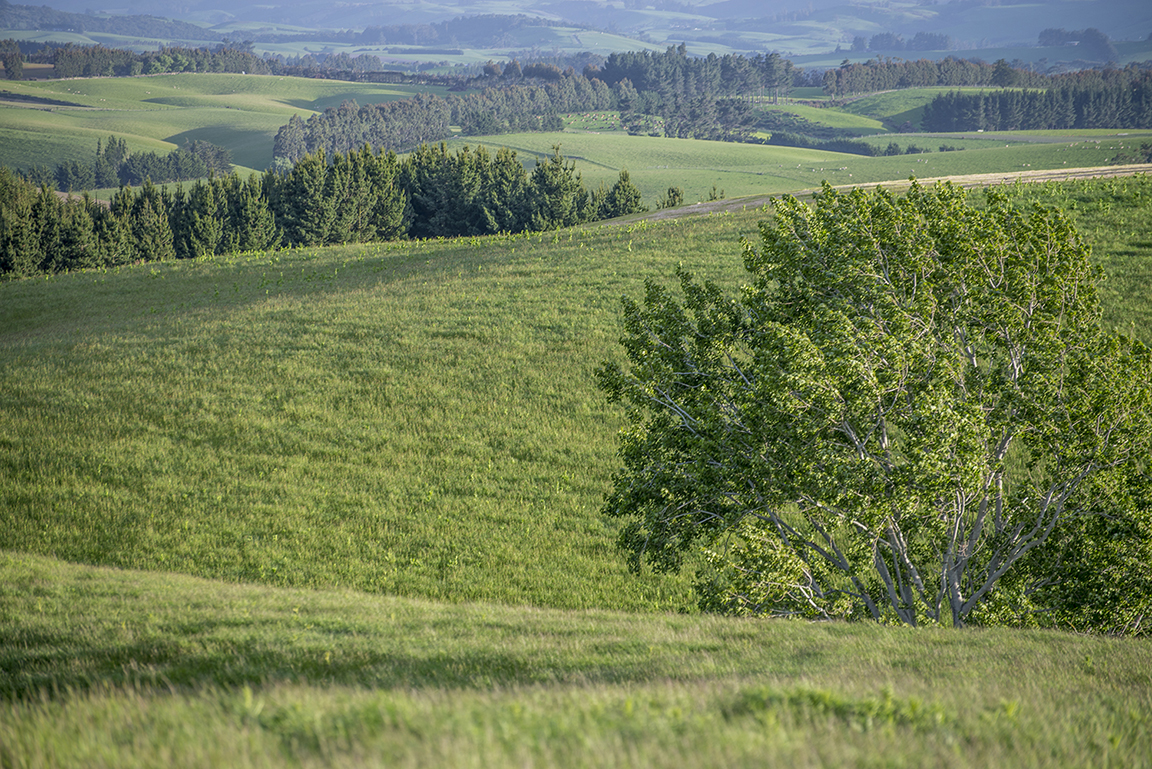 Countryside near Baclutha