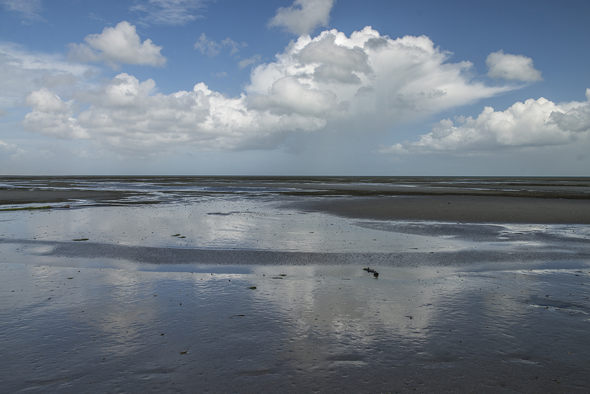 Farewell Spit, Golden Bay