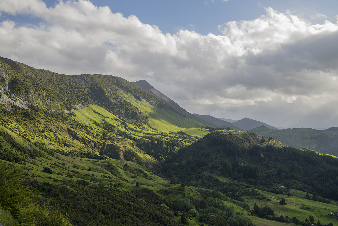 Late afternoon in the Takaka Valley