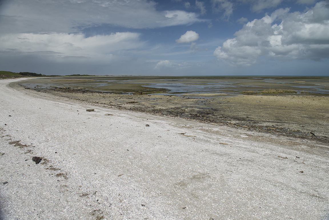 Farewell Spit, Golden Bay