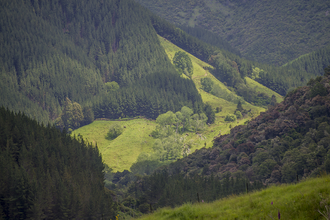 Takaka Valley