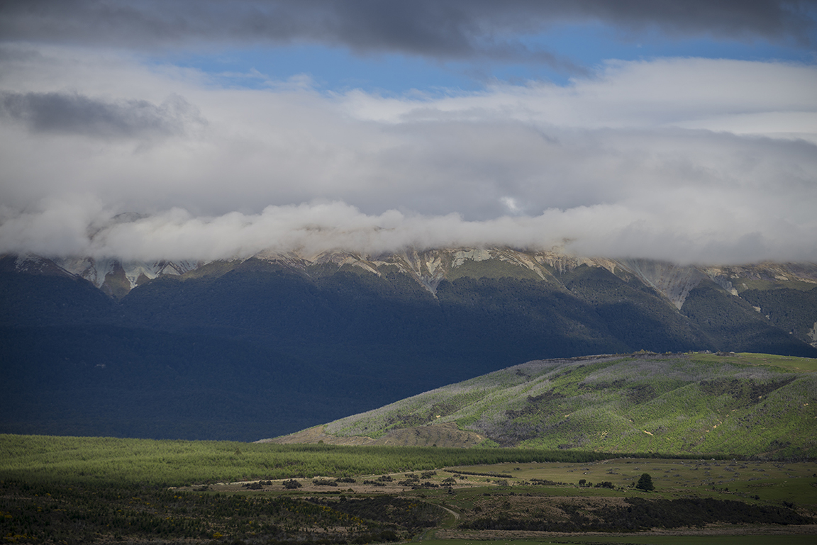 View from the Mlford Road near Te Anu