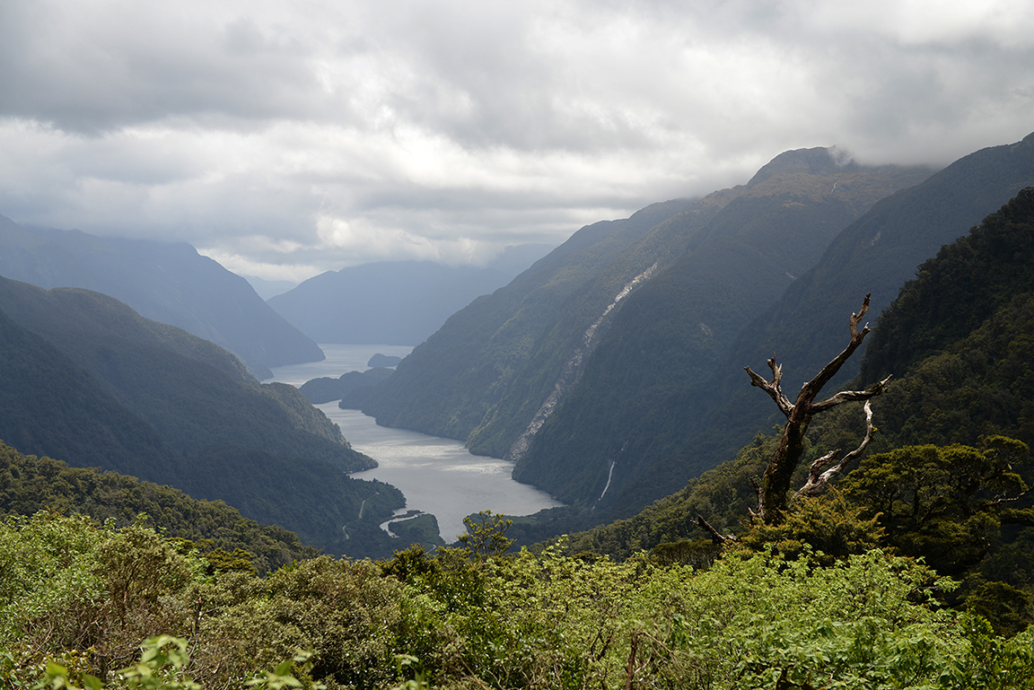 Doubtful Sound, Fjordland National Park