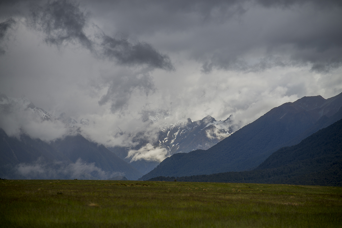 Morning mist along the Milford Road