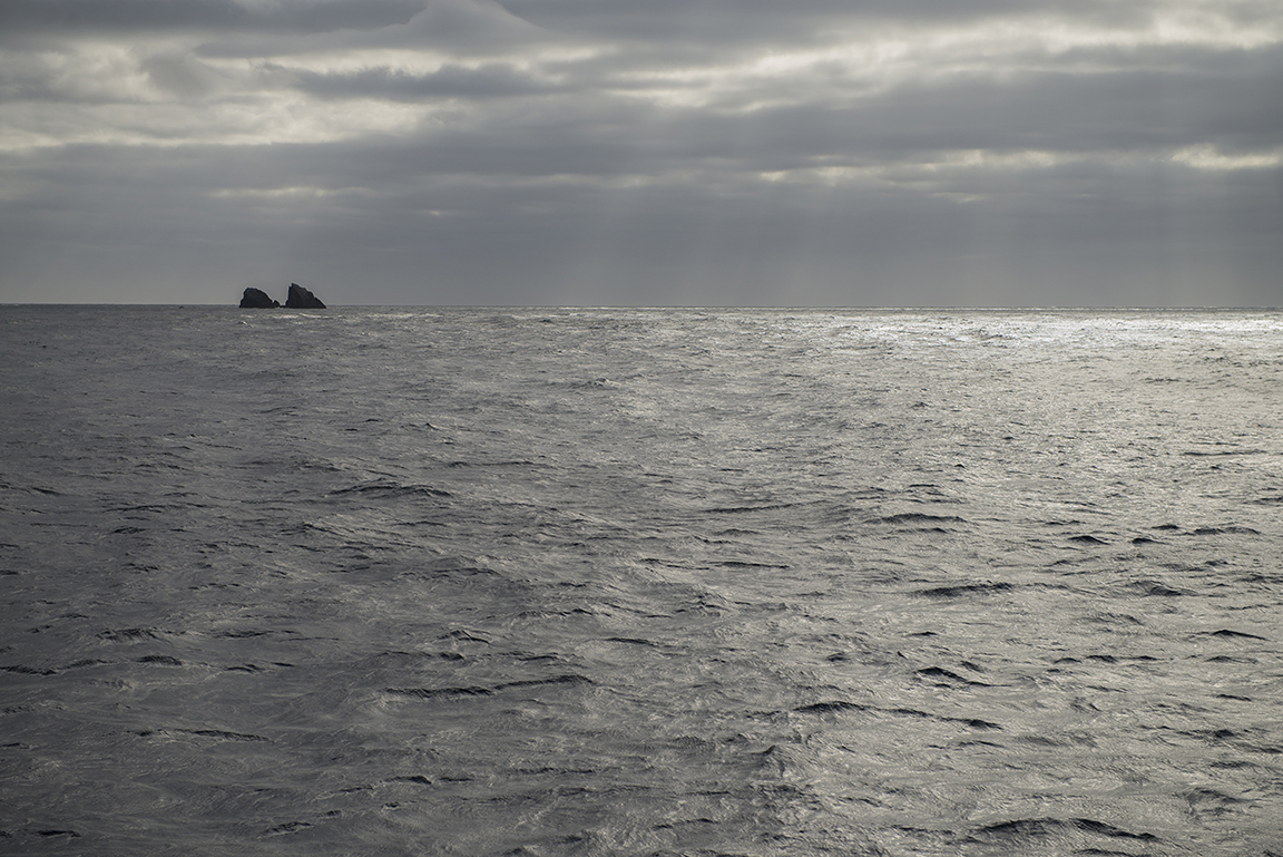 In the Tasman Sea near Doubtful Sound, Fjordland National Park