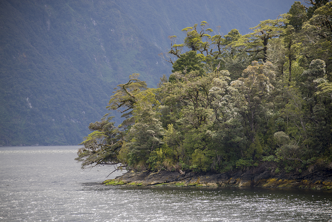 Doubtful Sound, Fjordland National Park