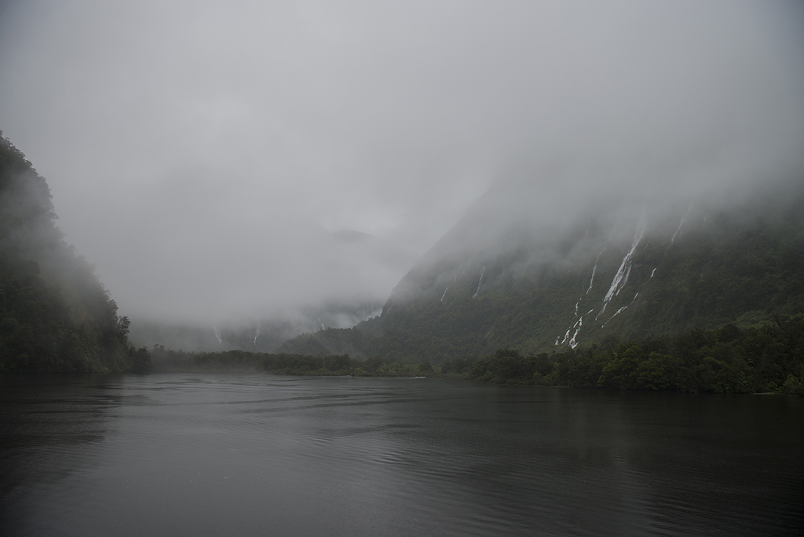 Misty morning in Doubtful Sound, Fjordland National Park