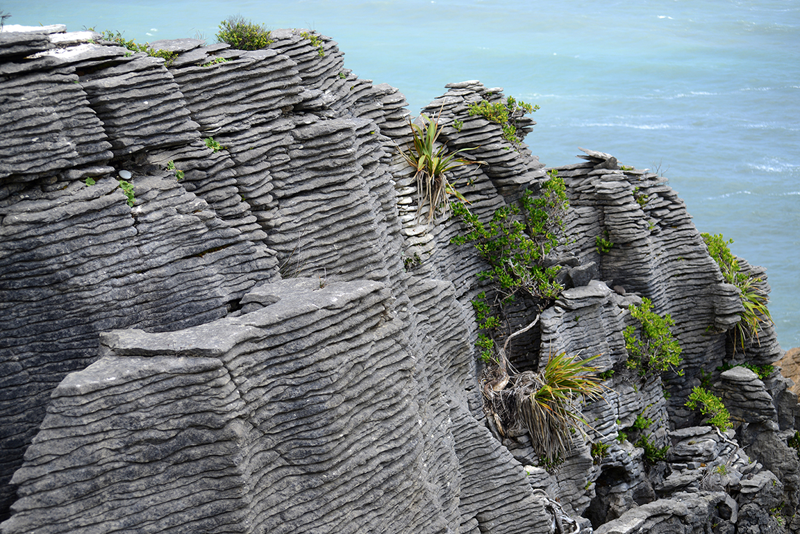 Panakaiki, Paparoa National Park