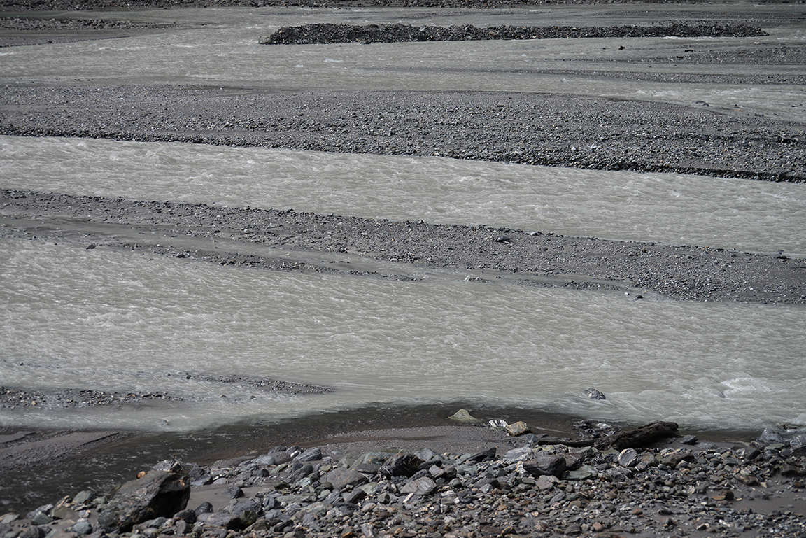 Near the Fox Glacier, Westland Tai Poutini National Park