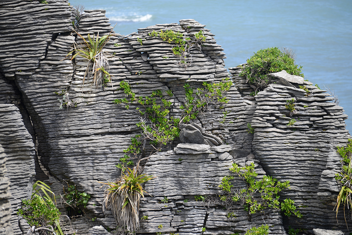 Panakaiki, Paparoa National Park