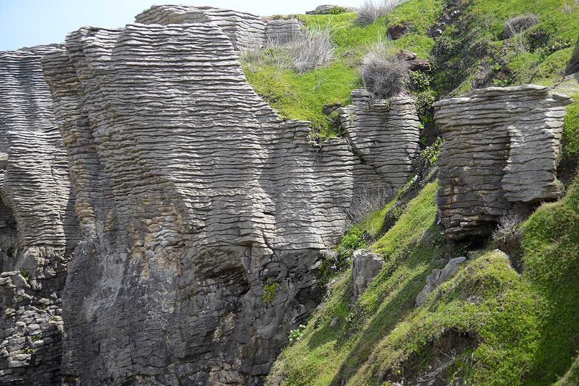 Panakaiki, Paparoa National Park