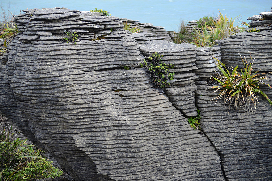 Panakaiki, Paparoa National Park