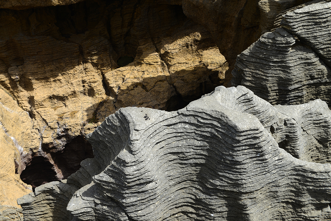 Panakaiki, Paparoa National Park