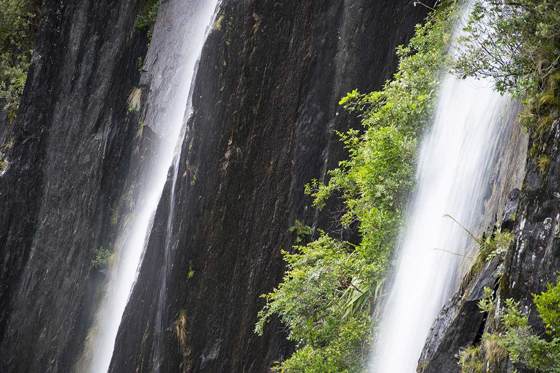 Near the Franz Josef Glacier, Westland Tai Poutinin National Park