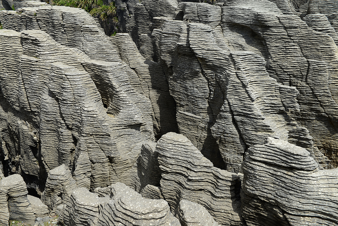 Panakaiki, Paparoa National Park