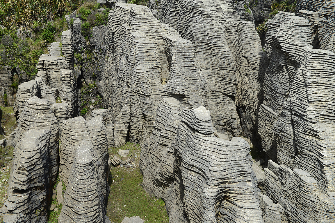 Panakaiki, Paparoa National Park