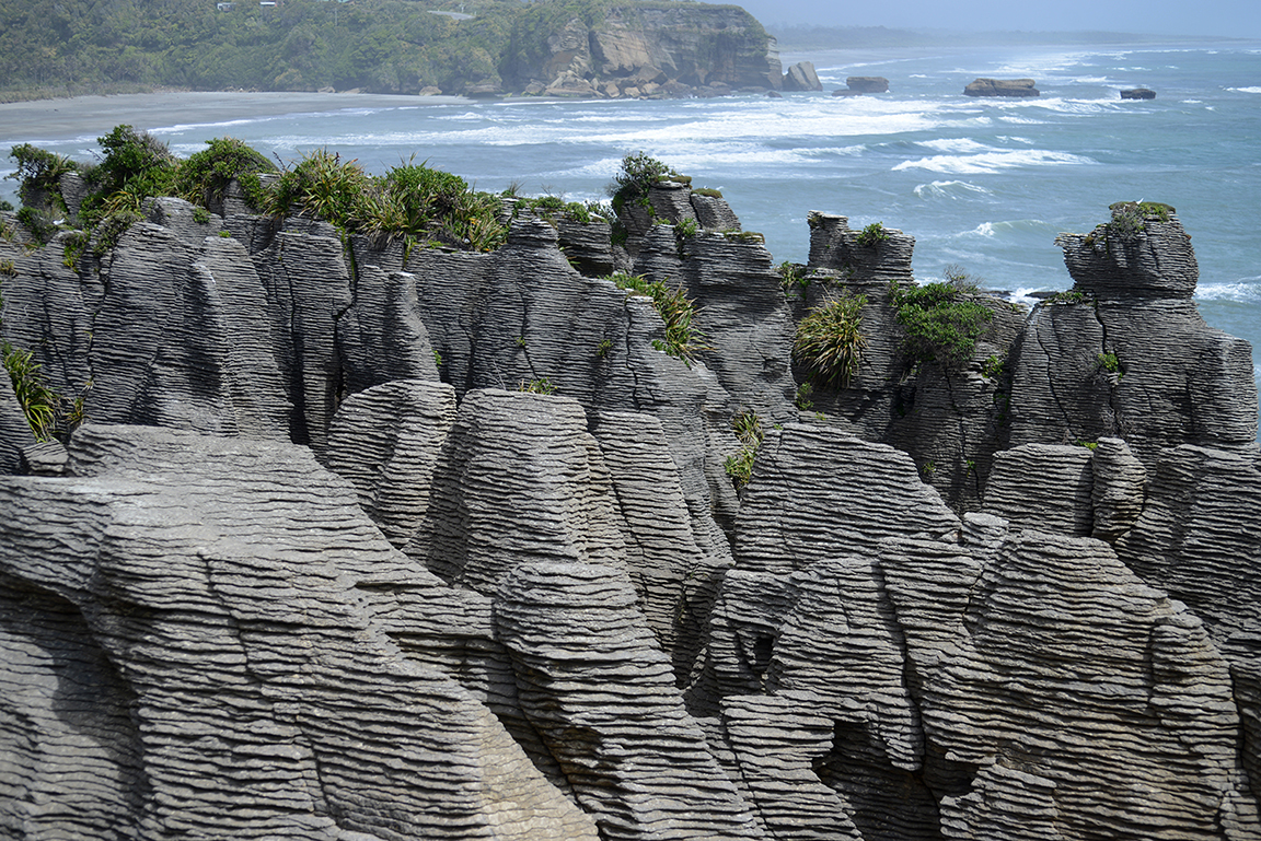 Panakaiki, Paparoa National Park