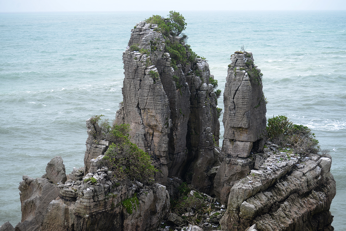 Panakaiki, Paparoa National Park