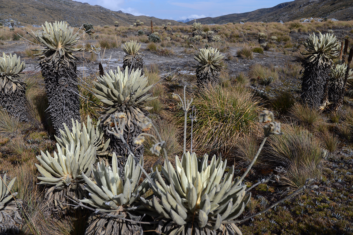 Stacks Image 65