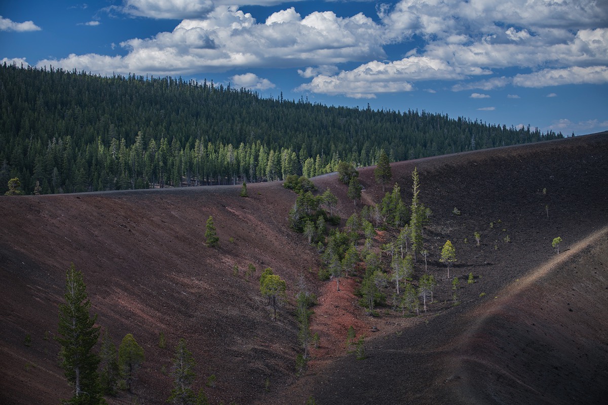 Cinder Cone summit interior and surrounding forest