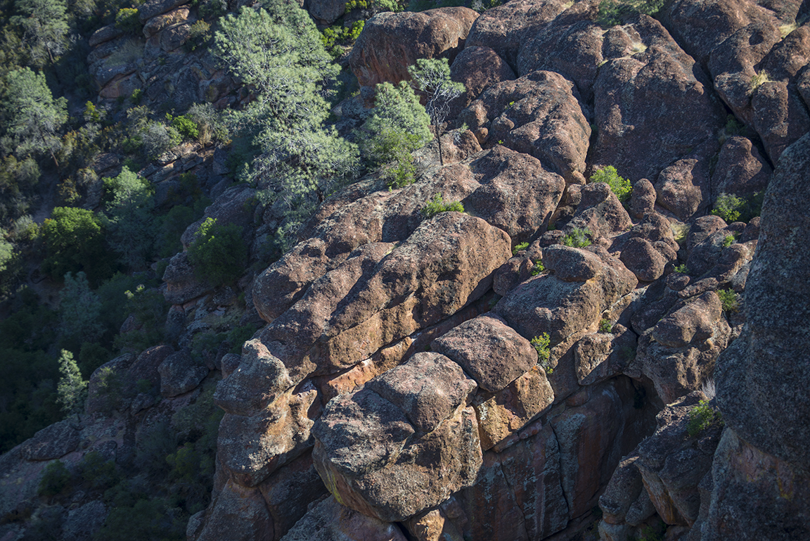 Stacks Image 30