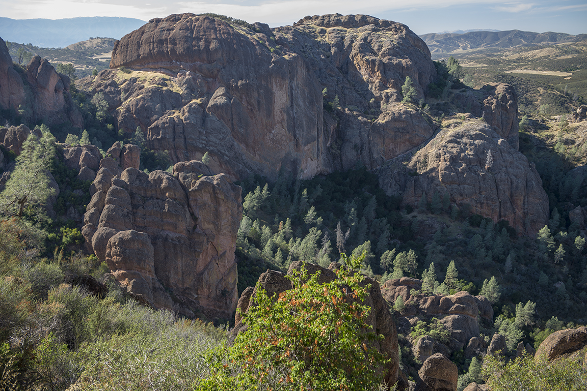 Stacks Image 80