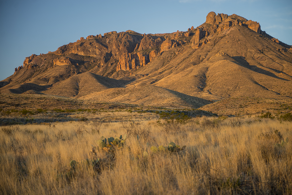 Morning light at Panther Junction