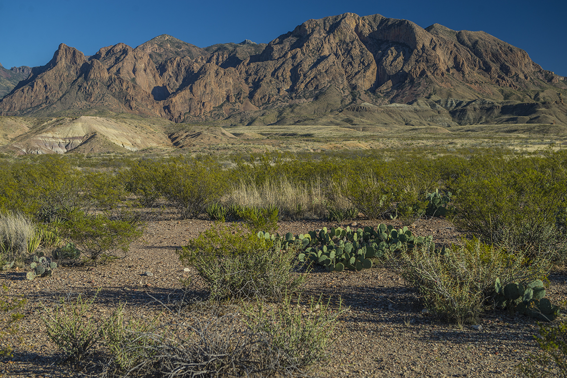 View of the Chisos Mountains from the Ross Maxwell Scenic Drive