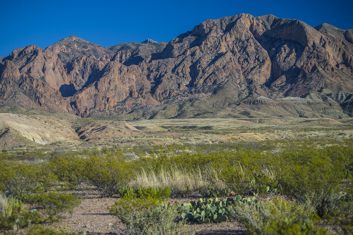 View of the Chisos Mountains from the Ross Maxwell Scenic Drive