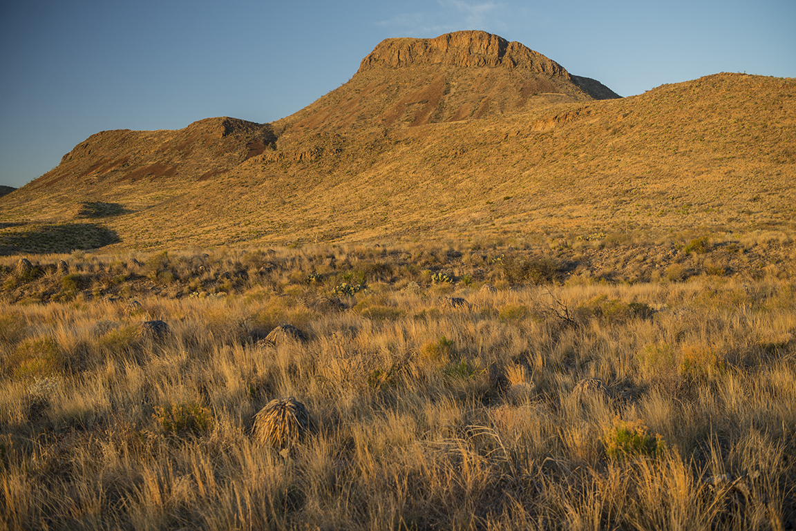 Morning light at Panther Junction