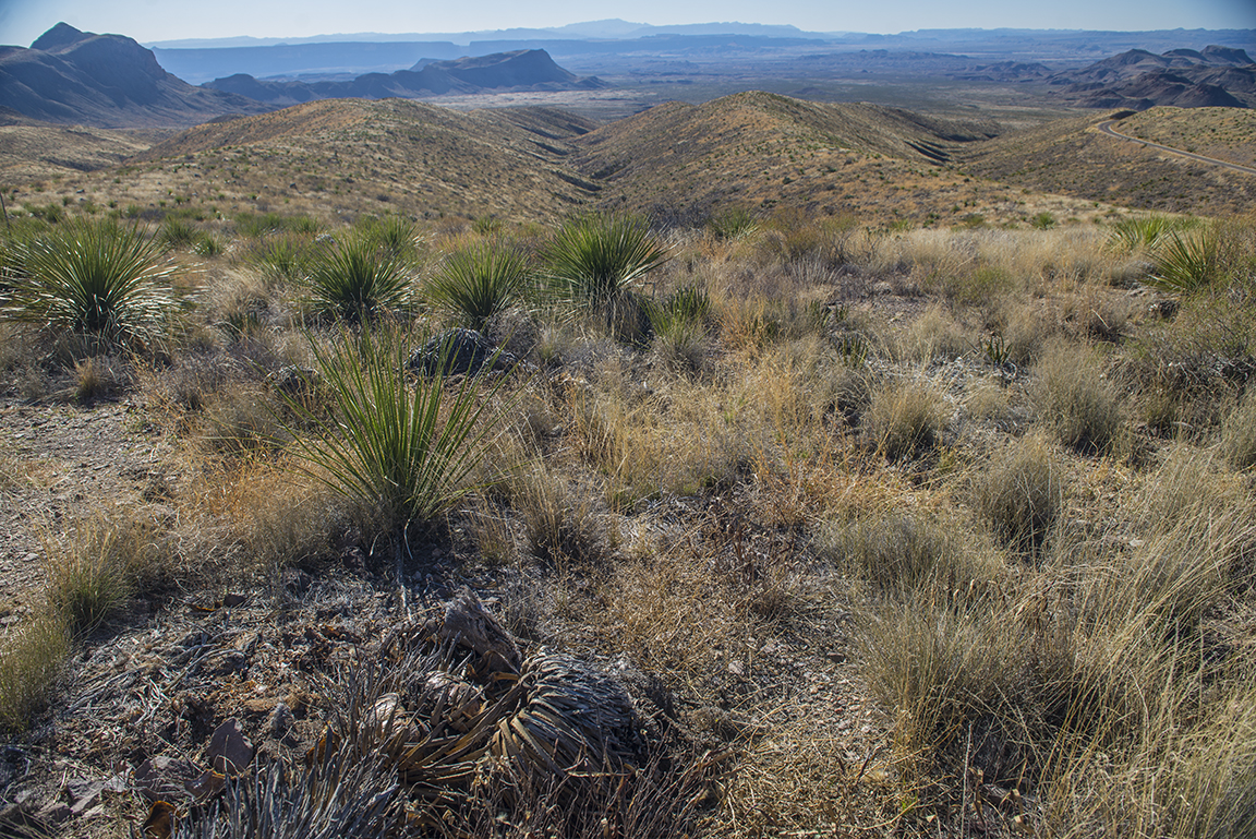 View southward from Sotol Vista on the Ross Maxwell Scenic Drive