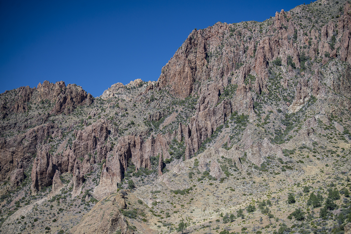 View of the Chisos Mountains