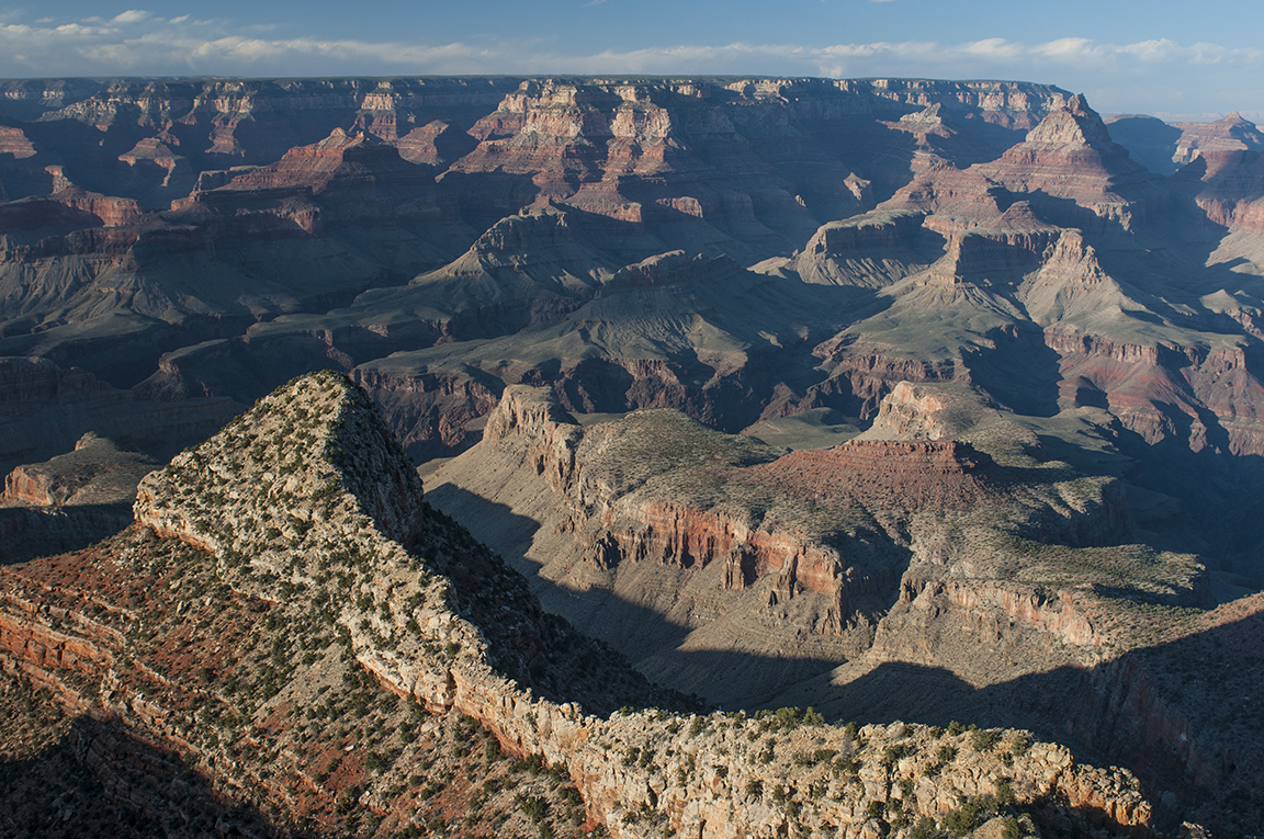 Stacks Image 30