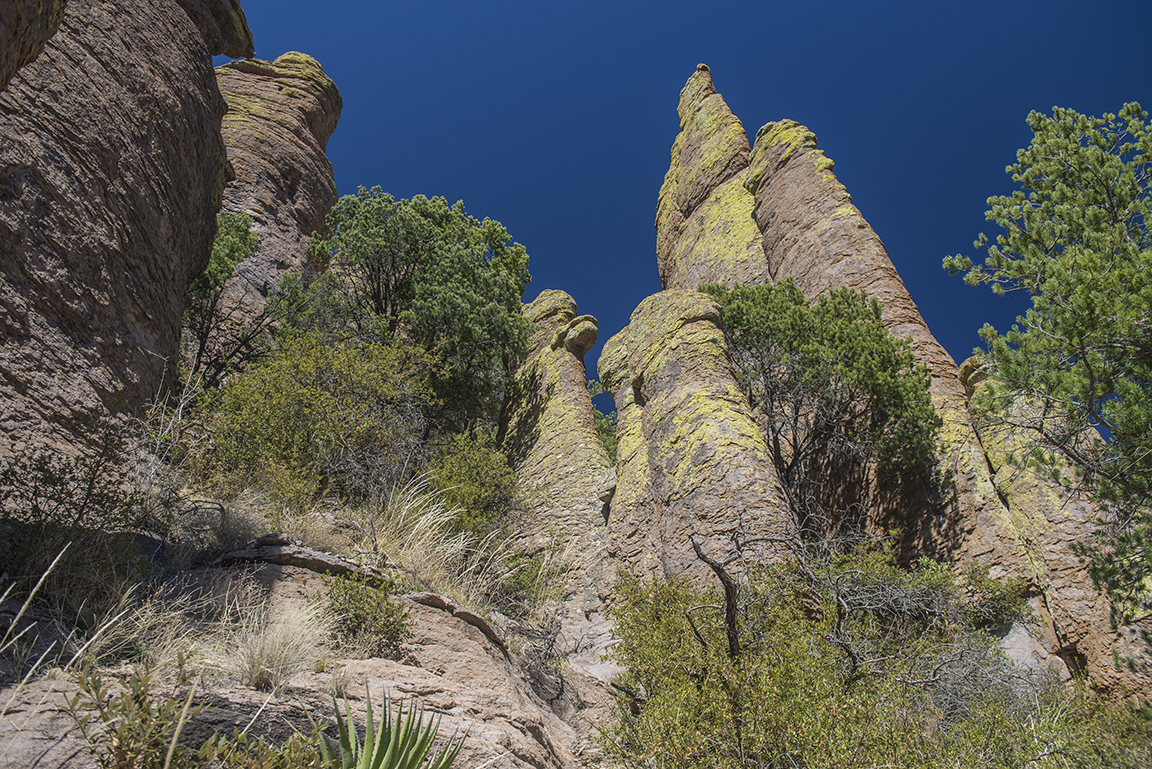 On the Echo Canyon Trail