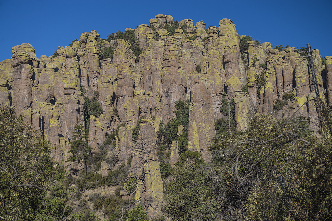 View from the Ed Riggs Trail