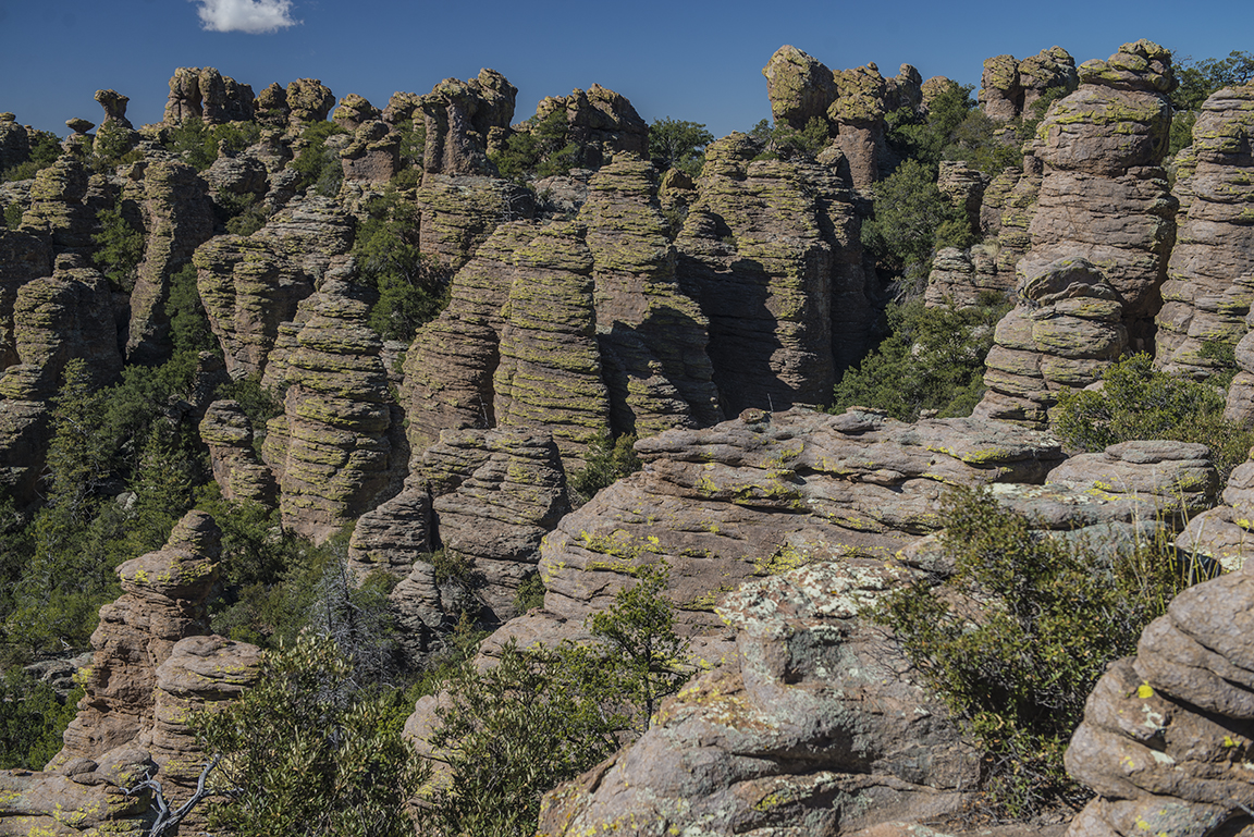 View from the Balanced Rock Trail