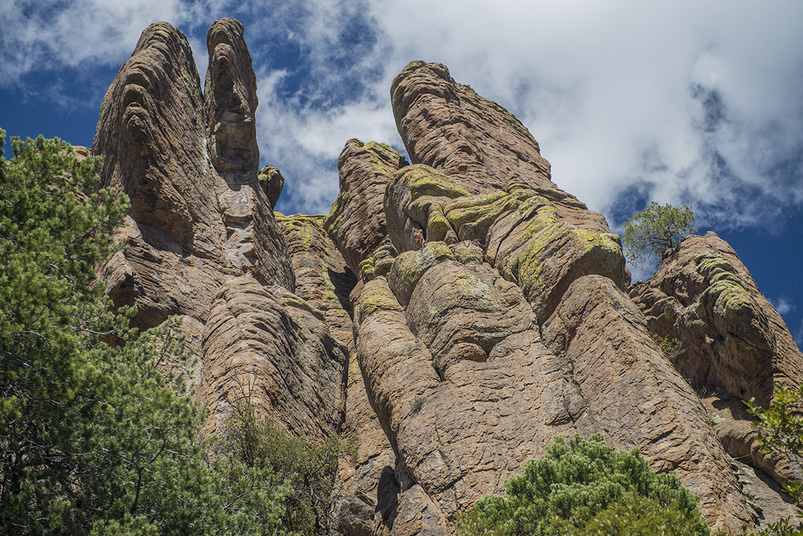 Looking skyward on the Echo Canyon Trail