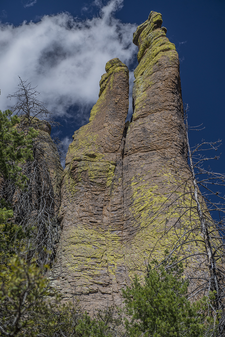 On the Echo Canyon Trail