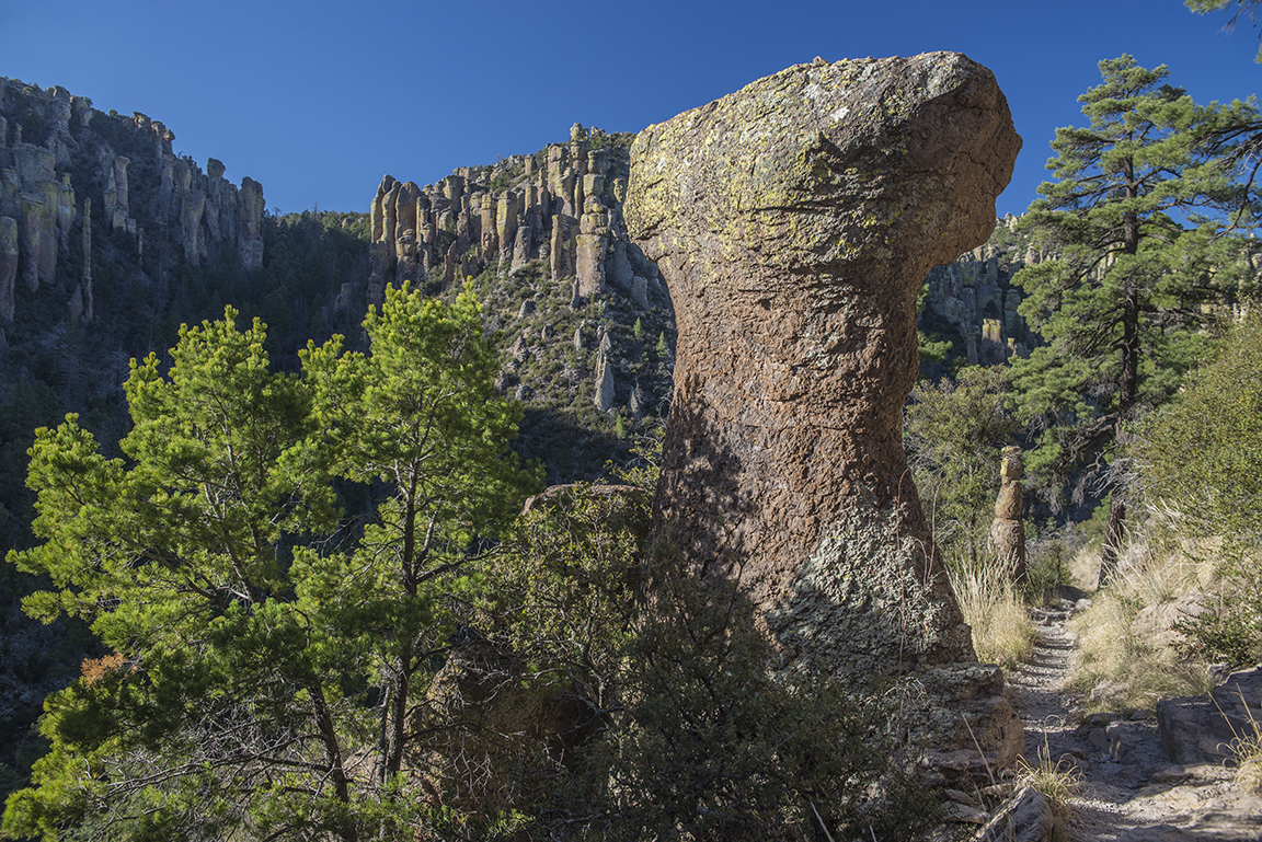 Hiking on the Ed Riggs Trail