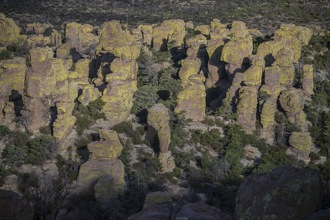 View from Massai Point