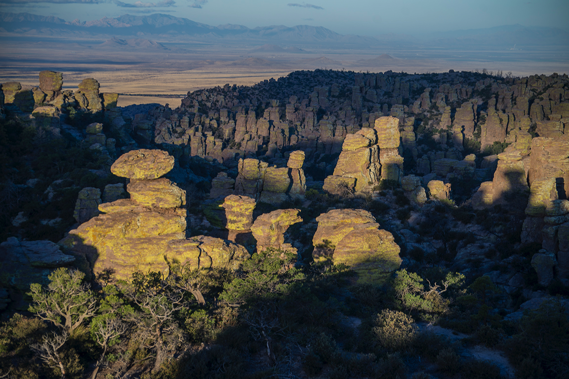 Morning light at Massai Point