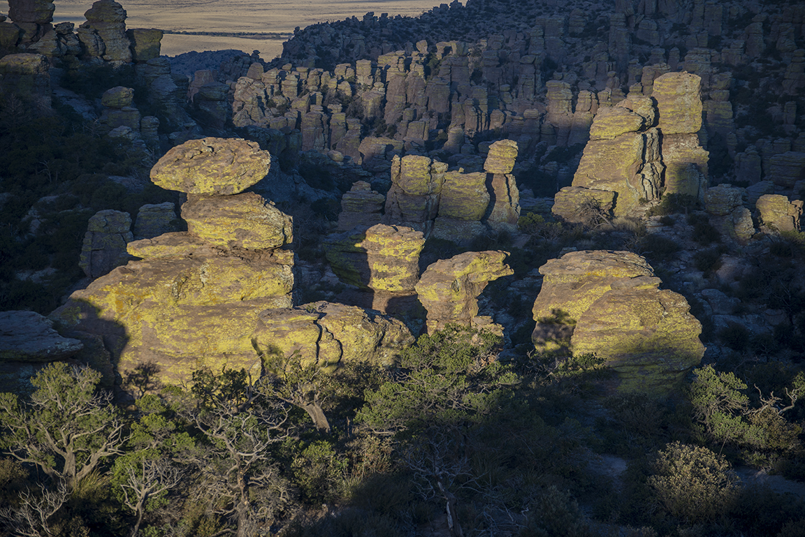 Morning light and shadows from Massai Point