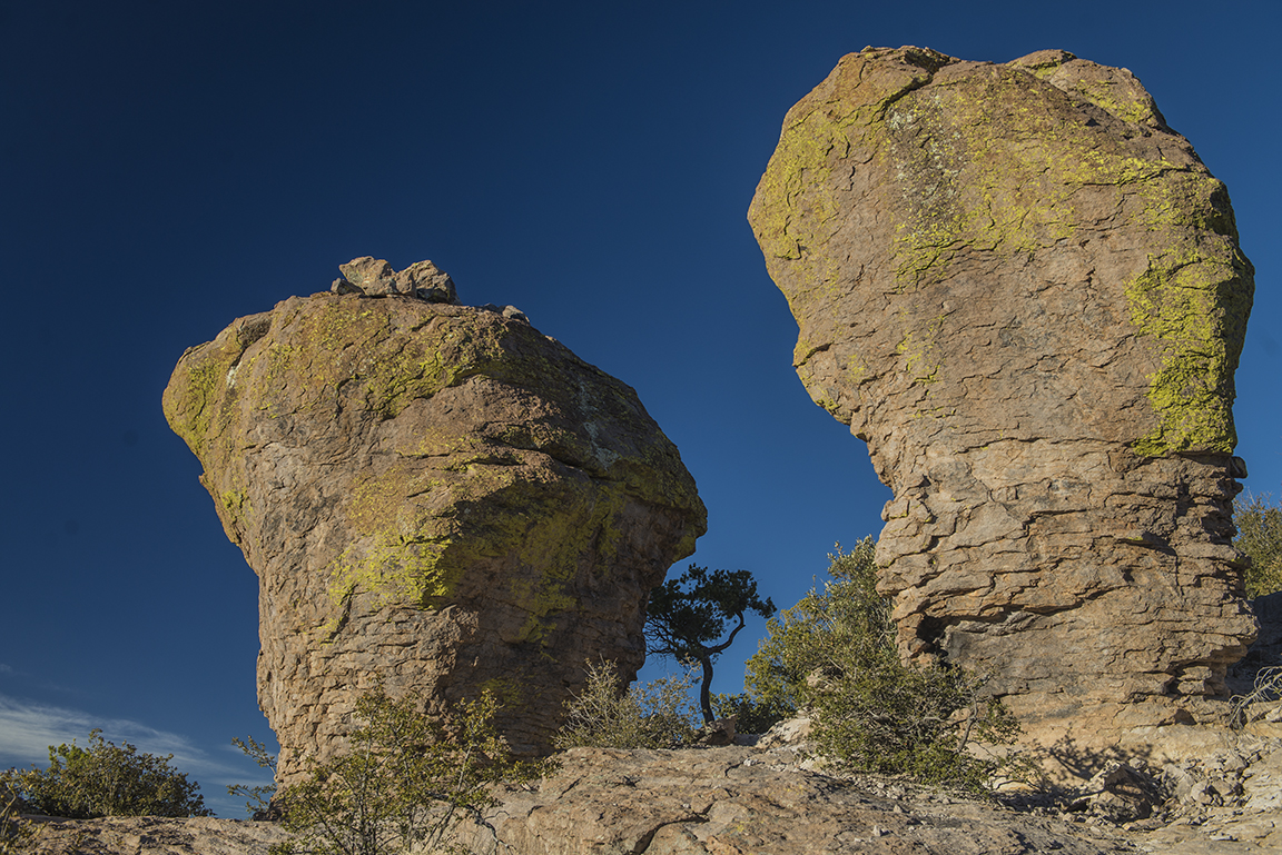 Afternoon view at Massai Point