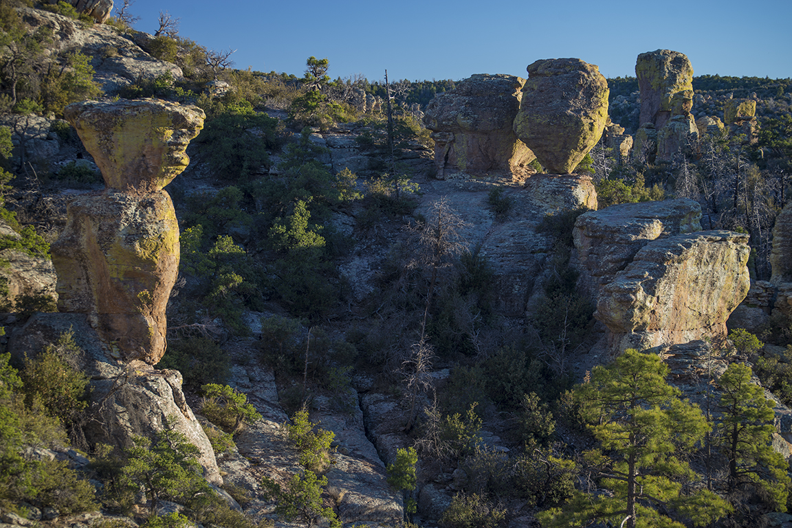 Afternoon view at Massai Point