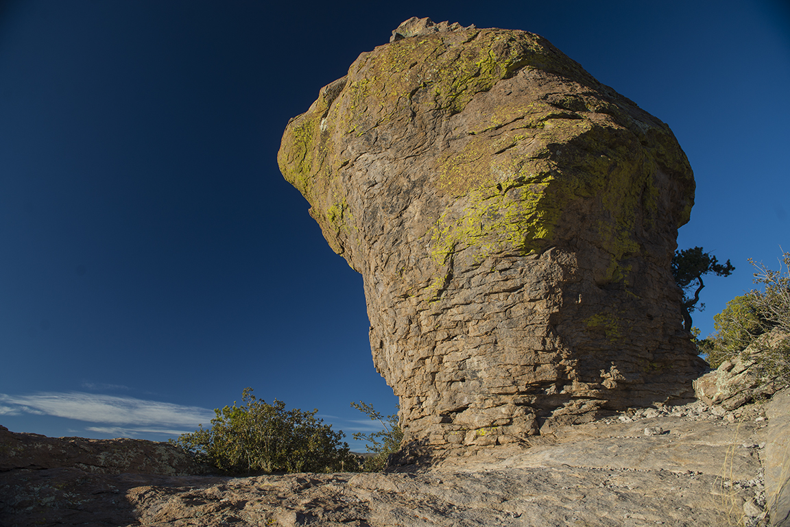 Afternoon light at Massai Point