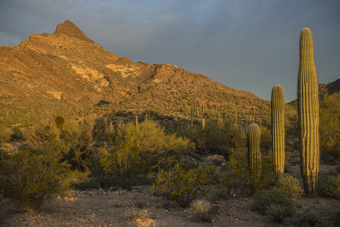 Stacks Image 195